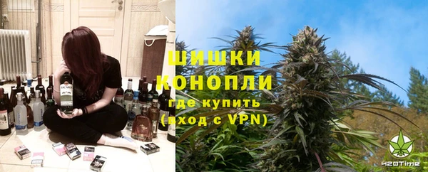 ECSTASY Алзамай