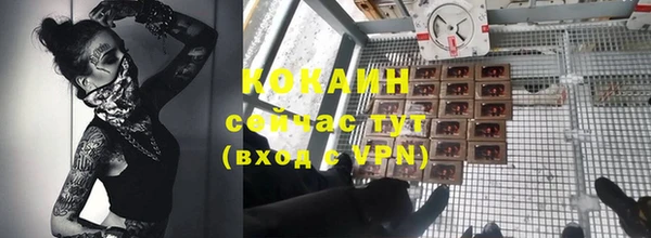 молекула духа Аркадак